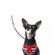 Branded: National Dog Day